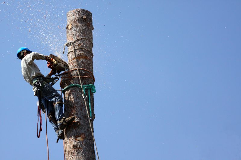 Commercial Tree Trimming in Bucks County, PA