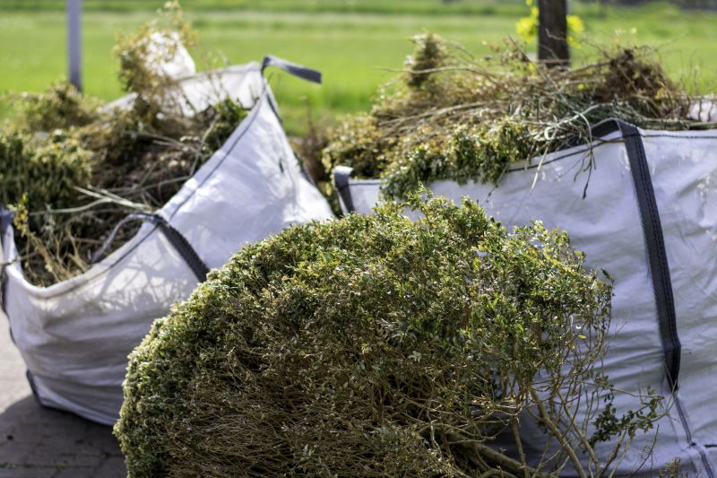Bush Pruning in Aiken, SC