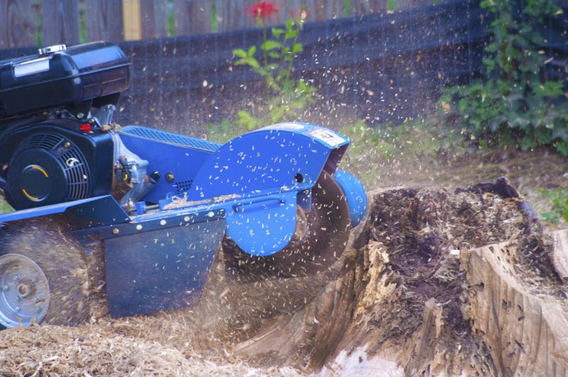 Bush Stump Grinding in Waldorf, MD