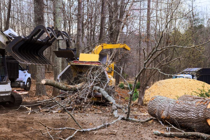 Cherry Tree Removal in Aiken, SC