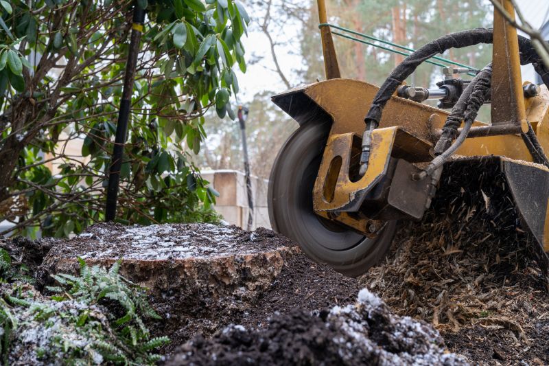 Commercial Stump Grinding in Doylestown, PA