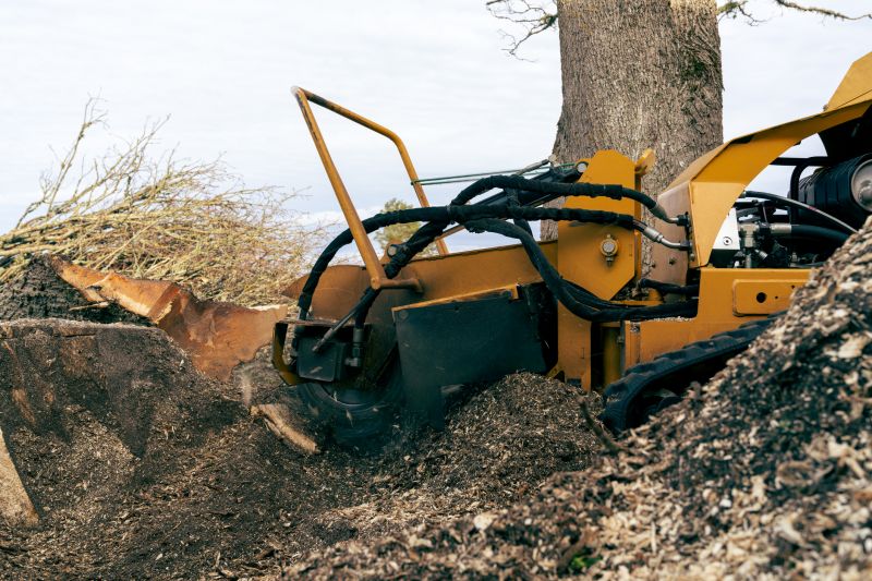Commercial Stump Grinding in Calvert County, MD