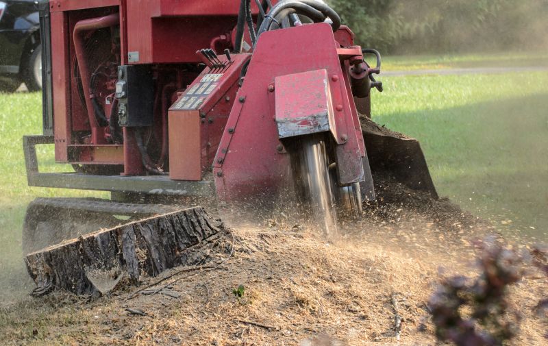 Commercial Stump Grinding in Aiken, SC