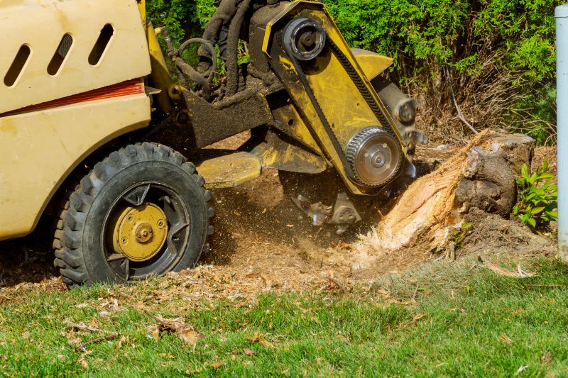 Commercial Stump Grinding in Waldorf, MD