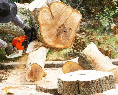 Commercial Tree Removal in Bucks County, PA