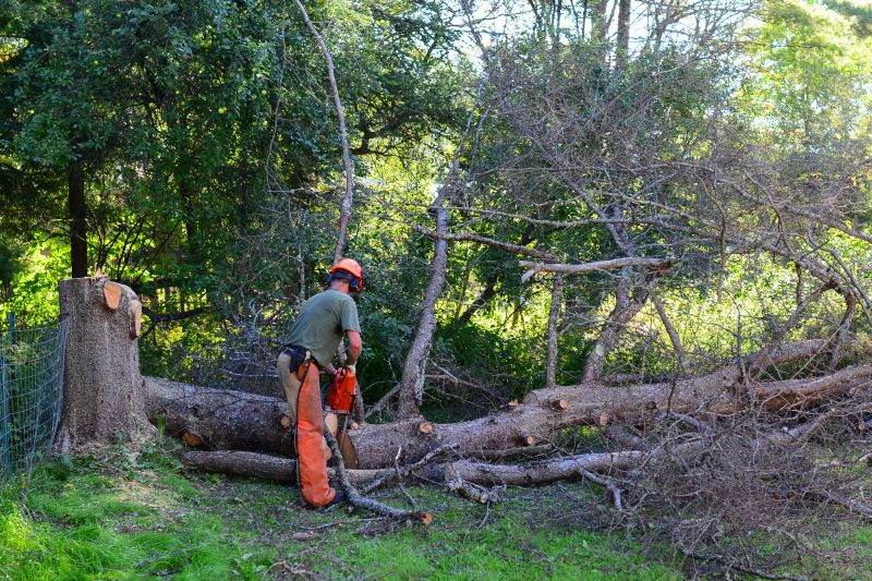 Commercial Tree Service in Aiken, SC