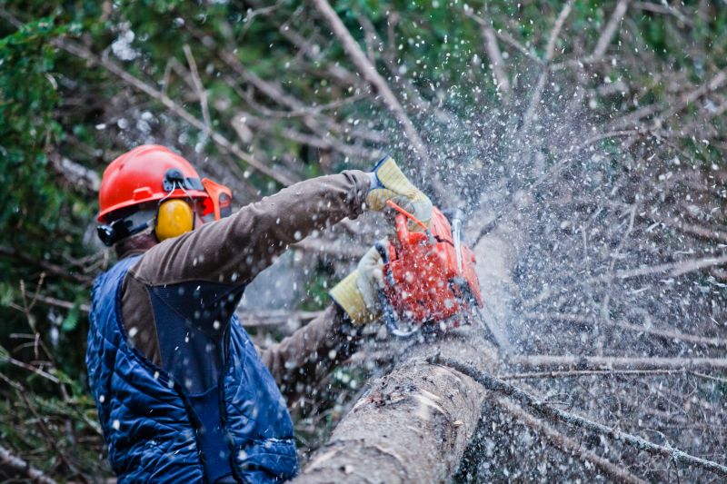 Commercial Tree Trimming in Bucks County, PA