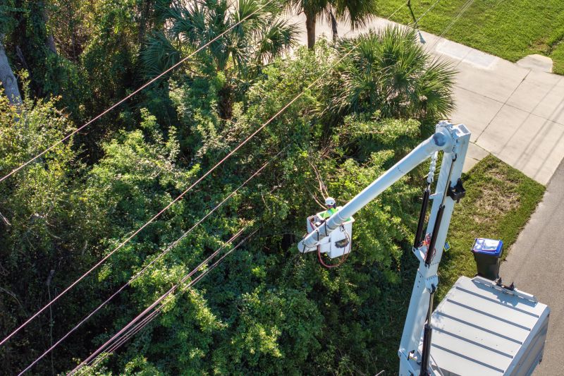 Commercial Tree Trimming in Littleton, CO