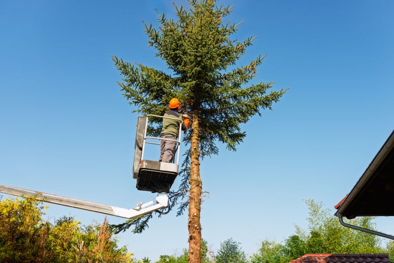 Commercial Tree Trimming in Duluth, MN