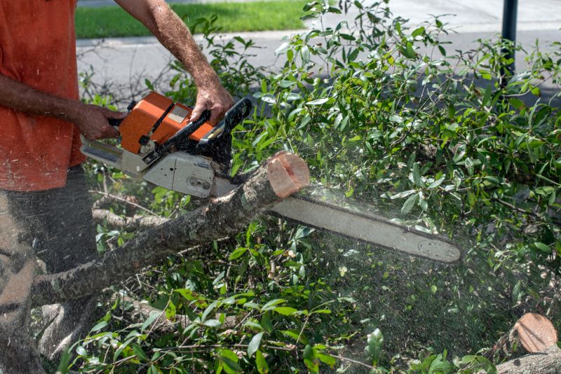 Commercial Tree Trimming in Duluth, MN