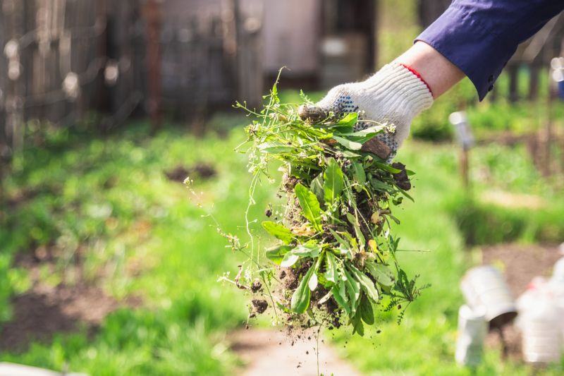 Flower Bed Weeding Service in Ventura County, CA