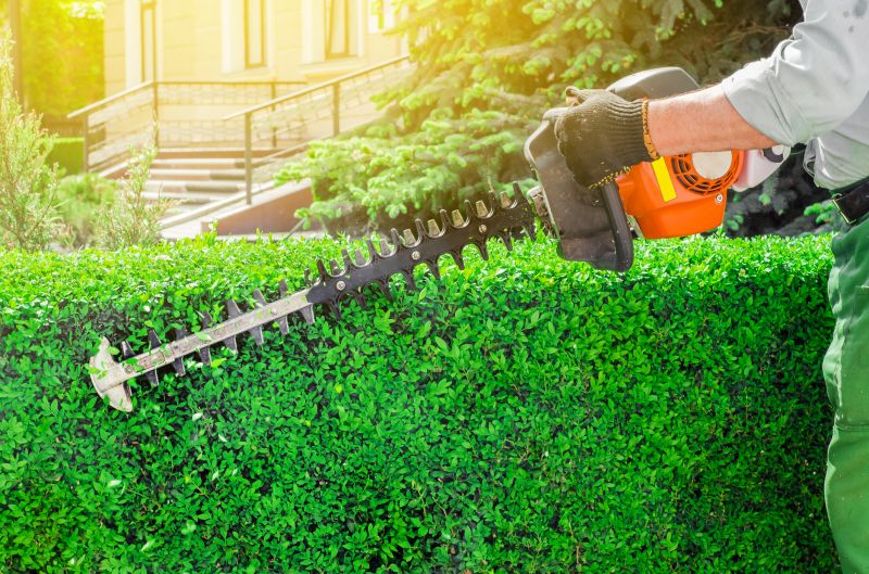 Hedge Pruning in Ventura County, CA