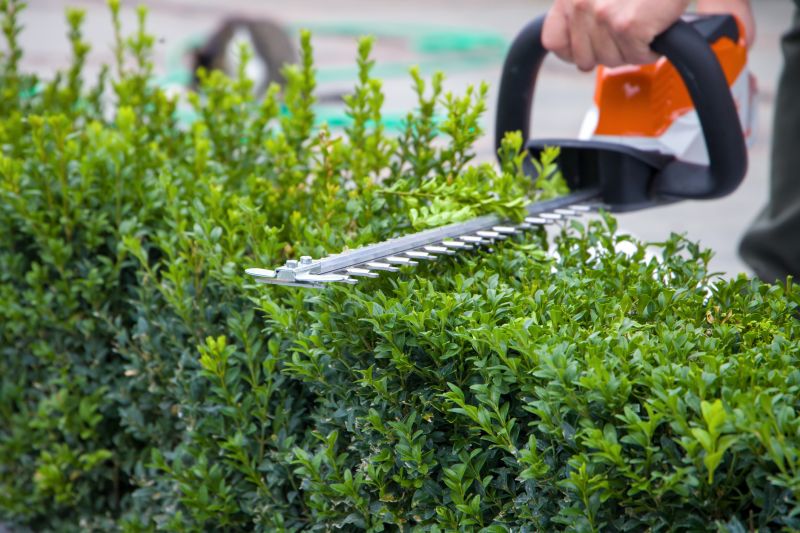 Hedge Removal Service in Rockwall, TX