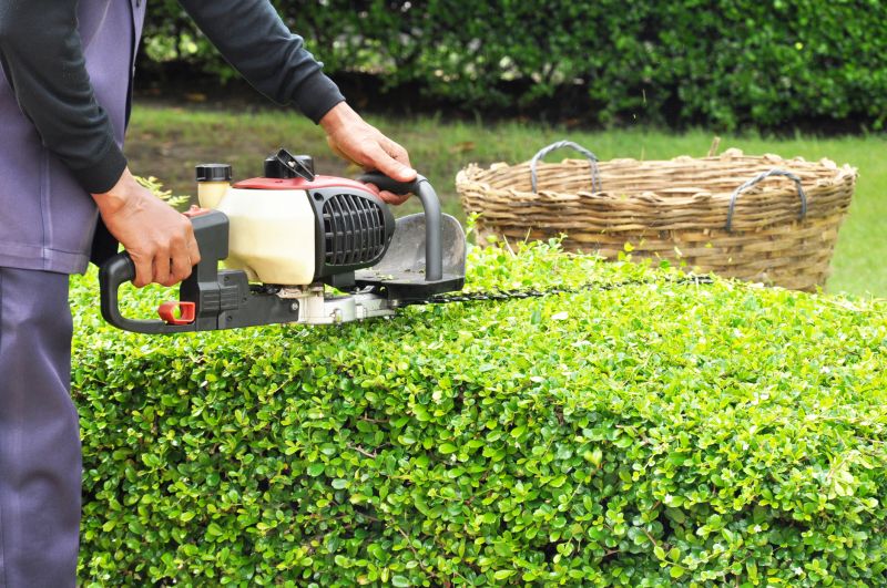 Hedge Trimming in Honolulu, HI