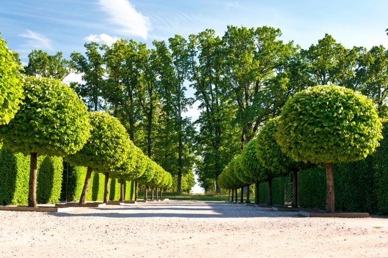 Landscape Pruning Service in Ventura County, CA