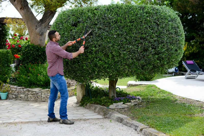 Landscape Trimming Service in Rockwall, TX