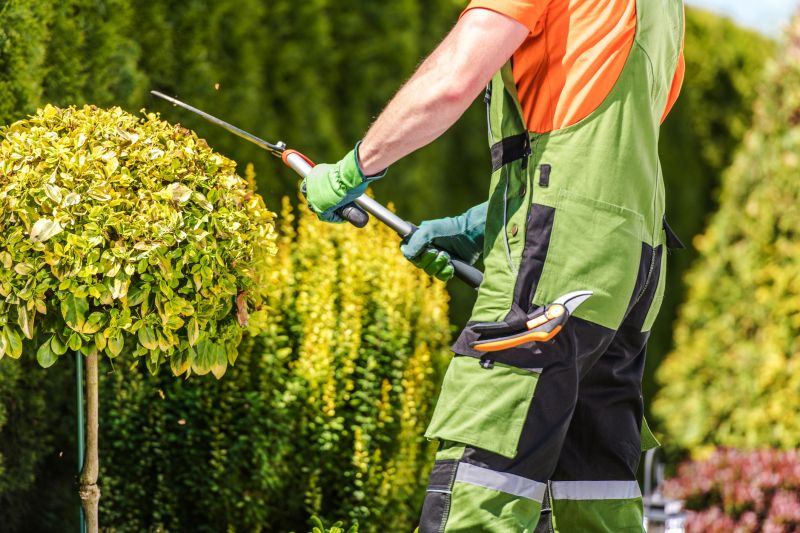 Shrub Shaping in Honolulu, HI