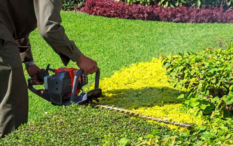 Shrub Trimming in Honolulu, HI
