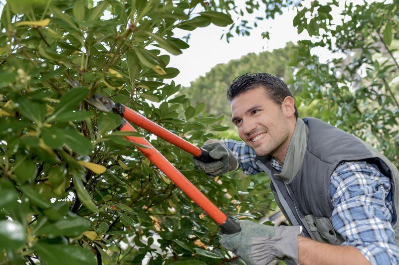 Shrub Trimming in Ventura County, CA