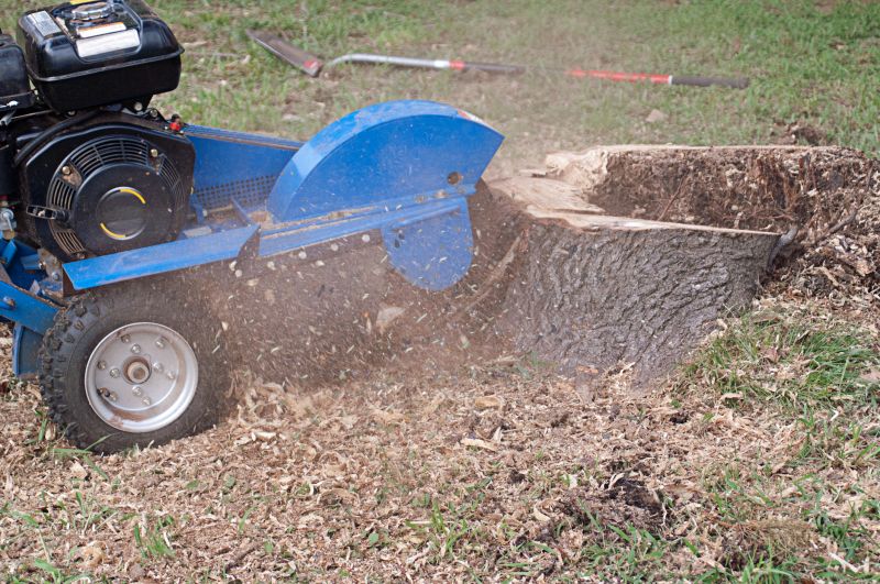 Stump Cutting in Calvert County, MD