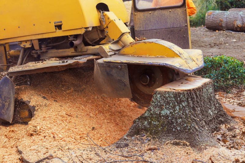 Stump Grinding Service in Aiken, SC