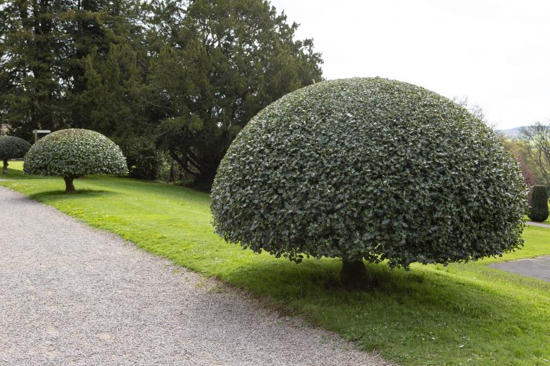 Topiary Shaping in Ventura County, CA