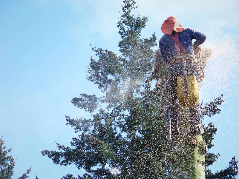 Tree Removal Service in Bucks County, PA
