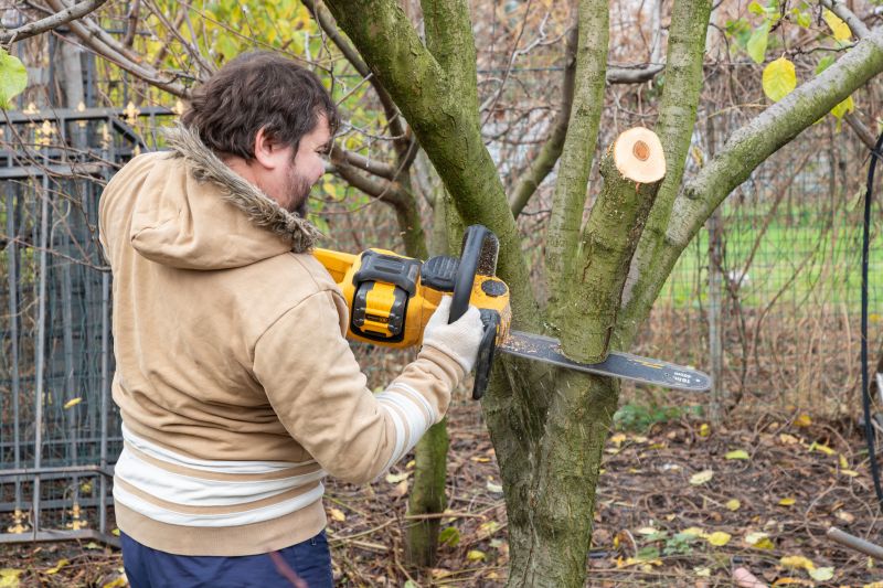 Tree Service in Aiken, SC