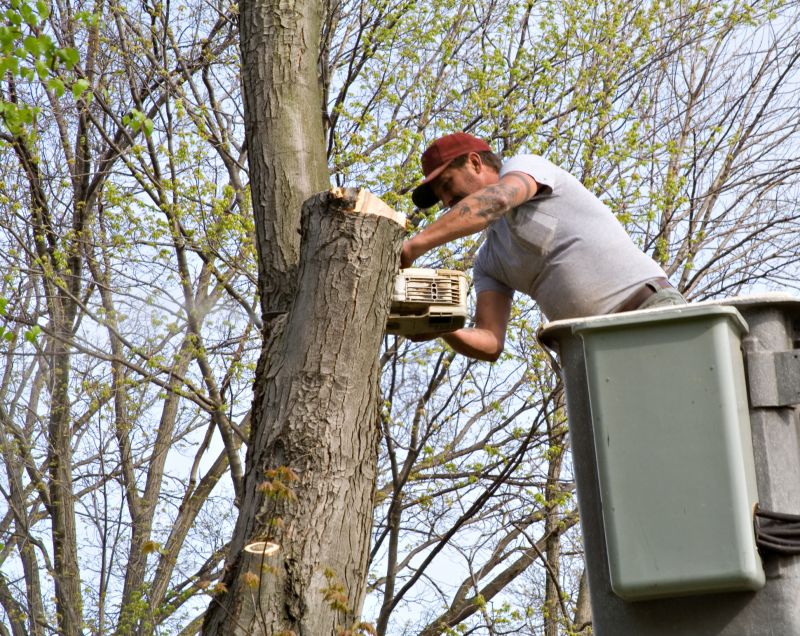 Tree Service in Montgomery County, PA