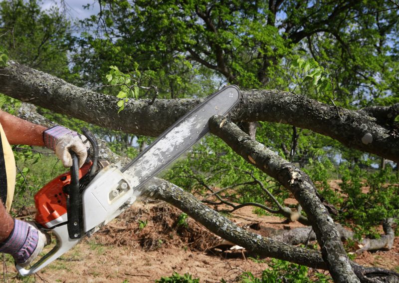 Tree Service in Montgomery County, PA