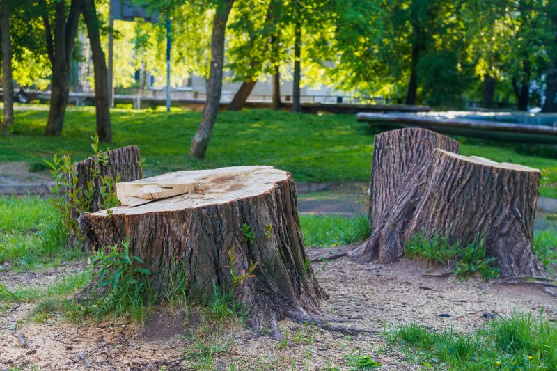 Tree Stump Removal in Aiken, SC